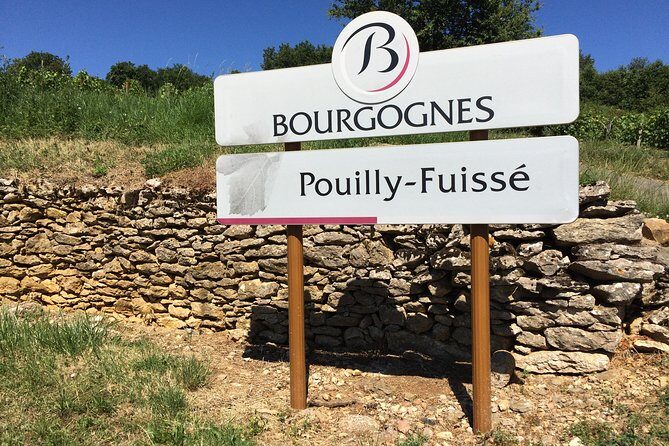 Southern Burgundy Wine Tour - Full Day Shared tour from Lyon - An In-Depth Look at the Burgundy Wine Tour