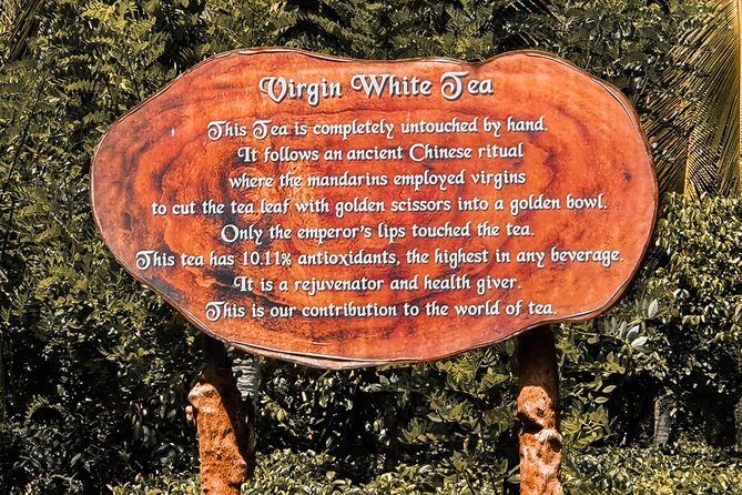 Southern Coast Highlights from Colombo - Who Will Appreciate This Tour?