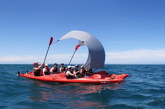 Southern Duo kayak & walk tour - Exploring Abel Tasman: An In-Depth Look at the Southern Duo Kayak & Walk Tour
