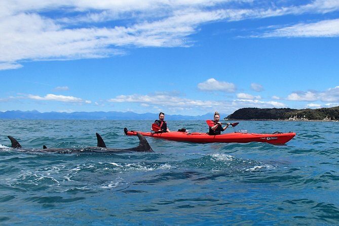 Southern Duo kayak & walk tour - FAQ