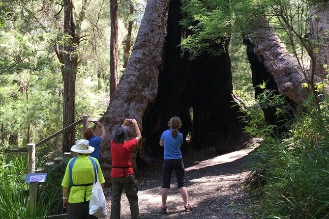Southern Experience 3 Day Tour - Day 2: Maritime History and Dramatic Coastlines