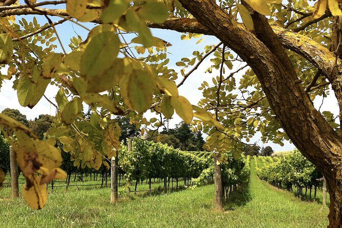 Southern Highlands Private Tour with Wine, Waterfall and Garden - Frequently Asked Questions