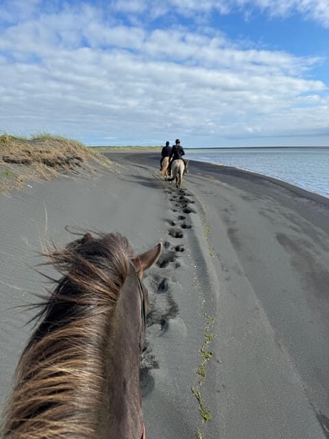 southern Iceland: Black beach riding tour - Breaking Down the Itinerary