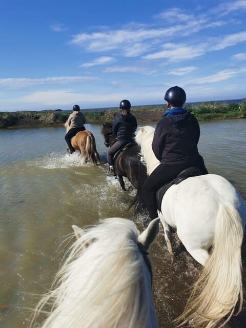 southern Iceland: Black beach riding tour - Practical Considerations