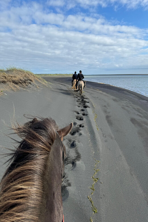 southern Iceland: Black beach riding tour - Who Would Love This Tour?