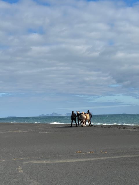 southern Iceland: Black beach riding tour - The Sum Up