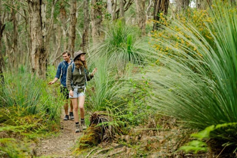 Southern Ocean Walk: 4-Day Guided Fleurieu Peninsula walk - A Closer Look at the Four Days on the Trail