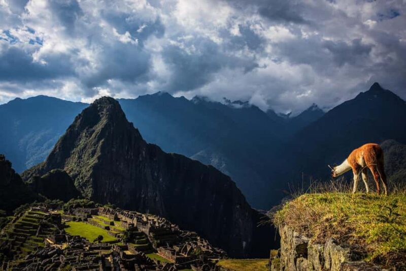 Southern Route 12 days: Lima-Ica-Arequipa-Puno-Cusco - Key Points