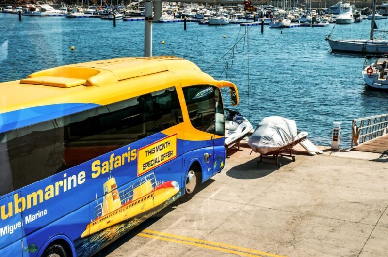 Southern Tenerife: 50-Minute Submarine Dive - Key Points