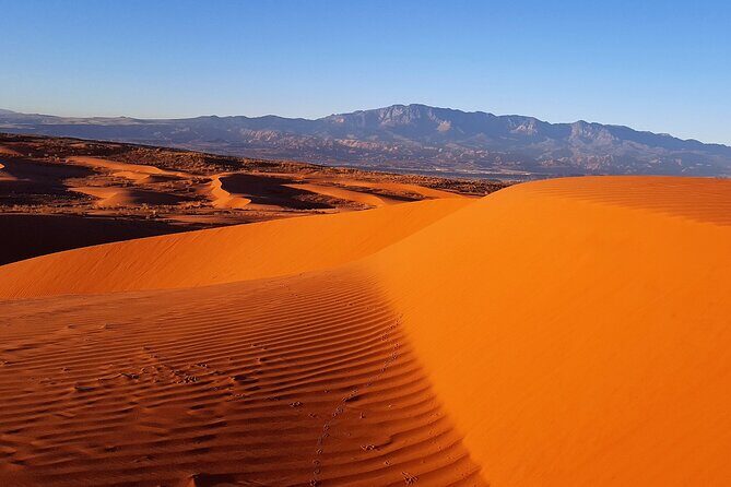 Southern Utah Full-Day ATV Tour - Key Points