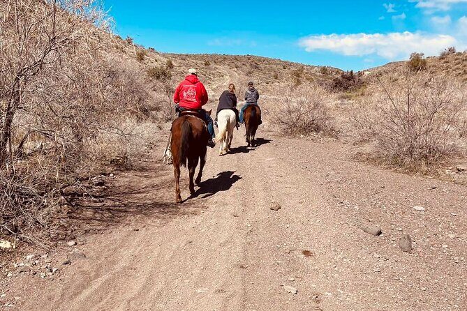 Southwest Horseback Riding with Spectacular Views - A Practical Guide to the Southwest Horseback Riding Tour