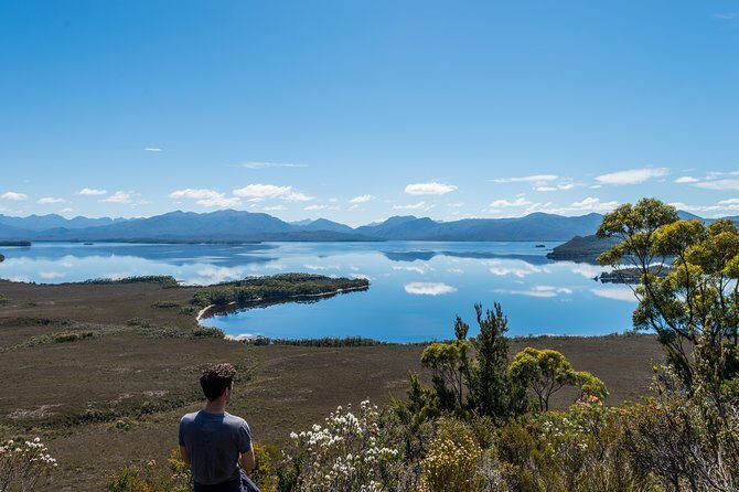 Southwest Tasmania Wilderness Experience: Fly Cruise and Walk Including Lunch - Bushwalking in the Southwest National Park