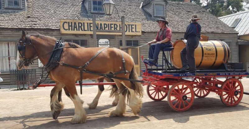Sovereign Hill & 12 Apostle Private Tour  Up to 14 pax - The Pricing and Value