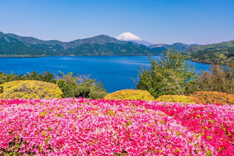 Spacious luxury bus: Mt.Fuji 5th.St & Gotemba&Hakone Trip fromTokyo - Lake Ashi by pirate ship
