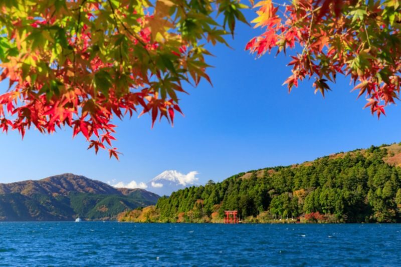 Spacious luxury bus: Mt.Fuji 5th.St & Gotemba&Hakone Trip fromTokyo - Is the $65.65 starting price good value?