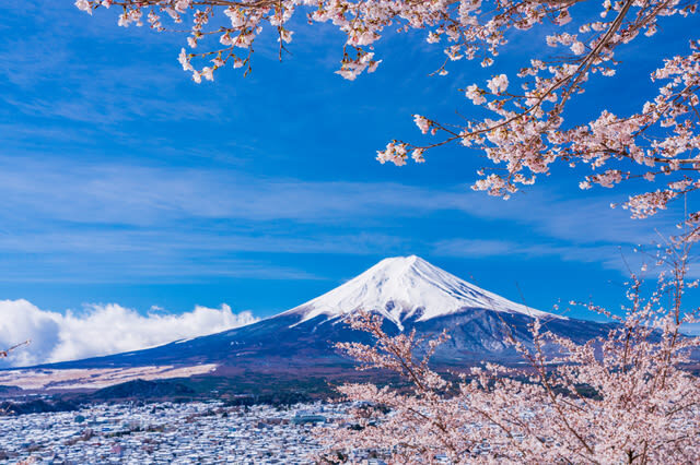 Spacious luxury bus: Mt.Fuji 5th.St & Gotemba&Hakone Trip fromTokyo - Who should book this Fuji and Hakone tour?