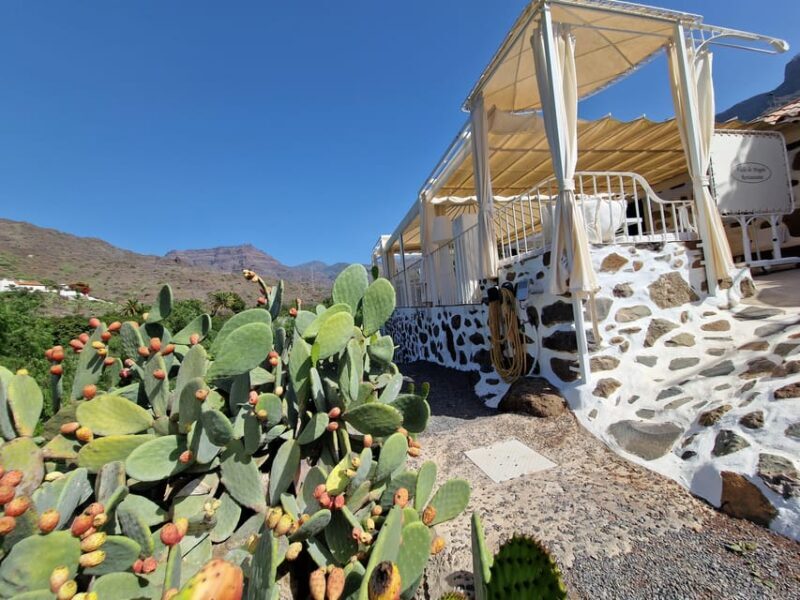 Spanish Cured Meats & Wine Tasting Tour in Mogan - The Sum Up