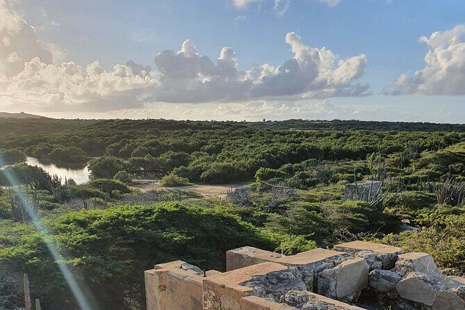 Spanish Lagoon Mangrove Trail & Bird Watching - Key Points