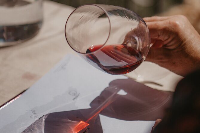 Spanish Wine Tasting - Guided Insight: Learning from a Local Expert