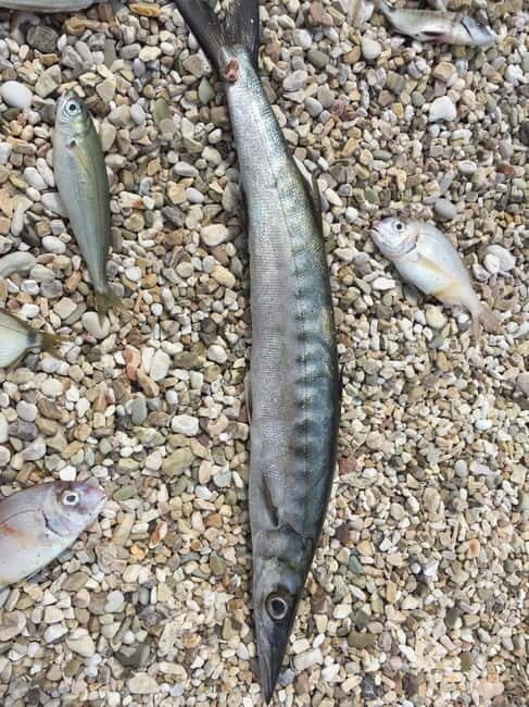 Spearfishing Fishing Tour with Seafood Lunch at the Beach - FAQ
