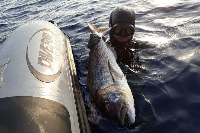 Spearfishing in Chania, Crete (price is per group) - The Sum Up
