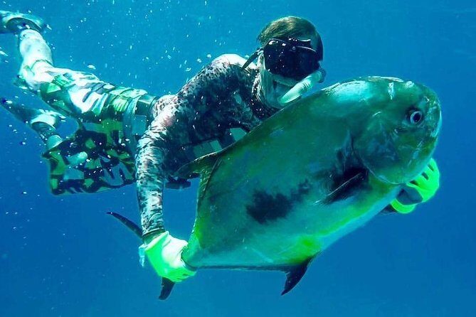 Spearfishing Playa del Carmen or Tulum - A Deep Dive into the Spearfishing Experience in Tulum and Playa del Carmen