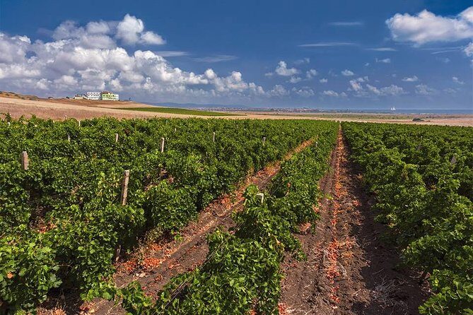 Special History And Wine Tour including Wine Tasting - Authentic Voices From Travelers