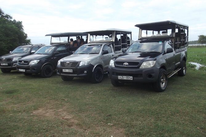 Special Leopards safari - Yala National park - 04.30 am to 11.30 am - Why Choose This Tour?