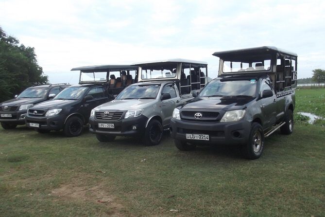 Special leopards safari Yala National park - 04.30 am to 11.30 am - The Experience in Detail