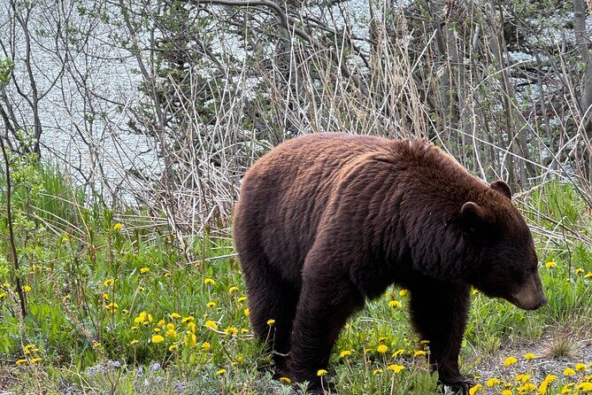 Special Magic Hour Photography Tour - Key Points