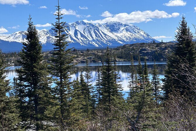 Special Magic Hour Photography Tour - Final Thoughts