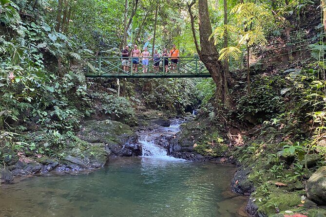 Special Private Waterfalls and Jungle Safari Tour - Key Points