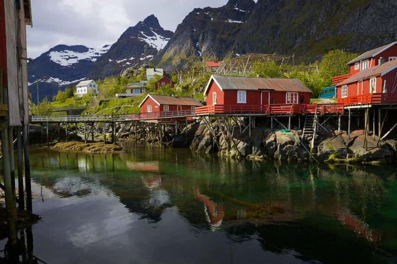 Special Summer Cruise Bus Tour of Lofoten - The Sum Up