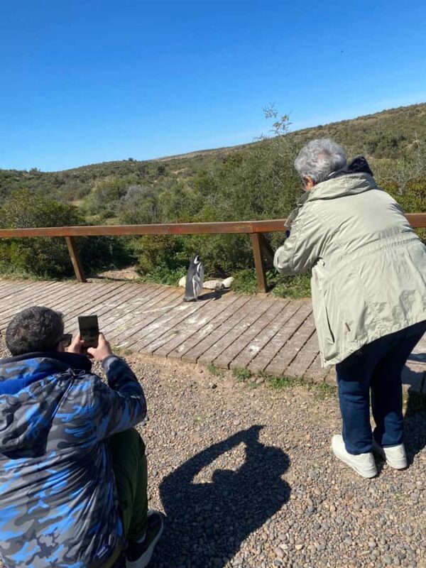 Special Tour for Cruise-Ship Passengers: Punta Tombo - Final Thoughts