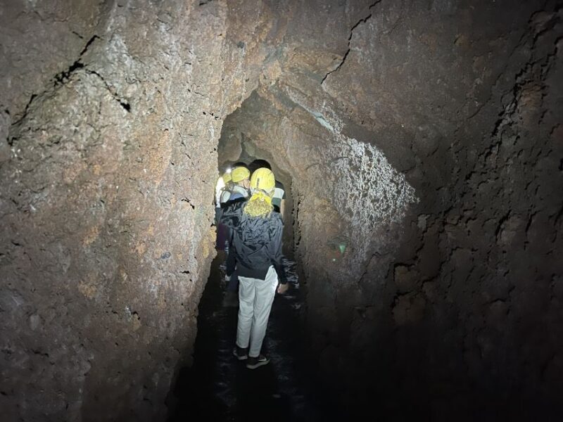 Special trekking on the most authentic and wild side of Etna - Who Should Consider This Tour?