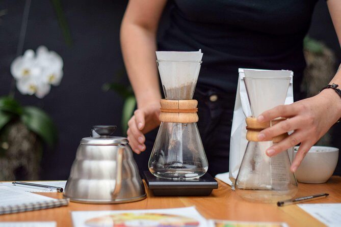 Specialty Coffee Workshops in Cartagena - A Closer Look at the Tour Experience