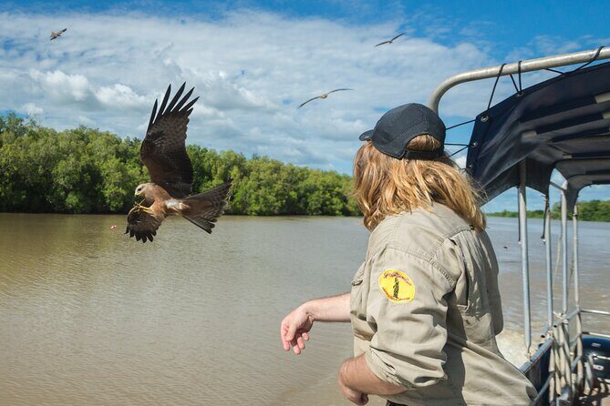 Spectacular Jumping Crocodile Cruise with Darwin Transfer Bus - Exploring the Full Experience: A Deep Dive