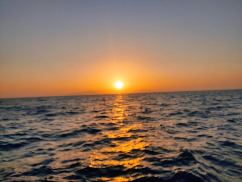 Spectacular Sunset Cruise in Tenerife: A Magical Experience - Key Points