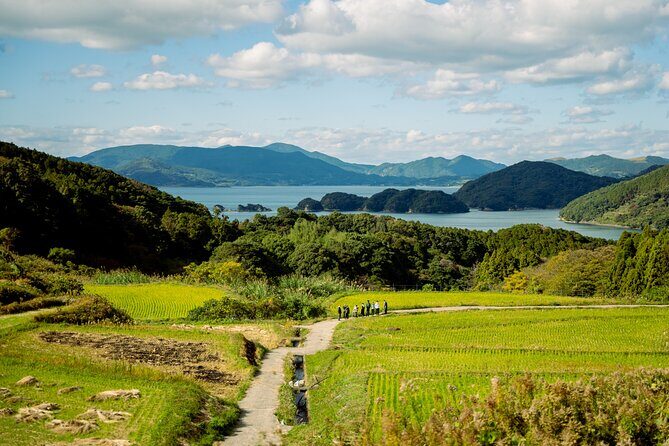 Spectacular terraced rice field walking experience - Detailed Breakdown of the Itinerary