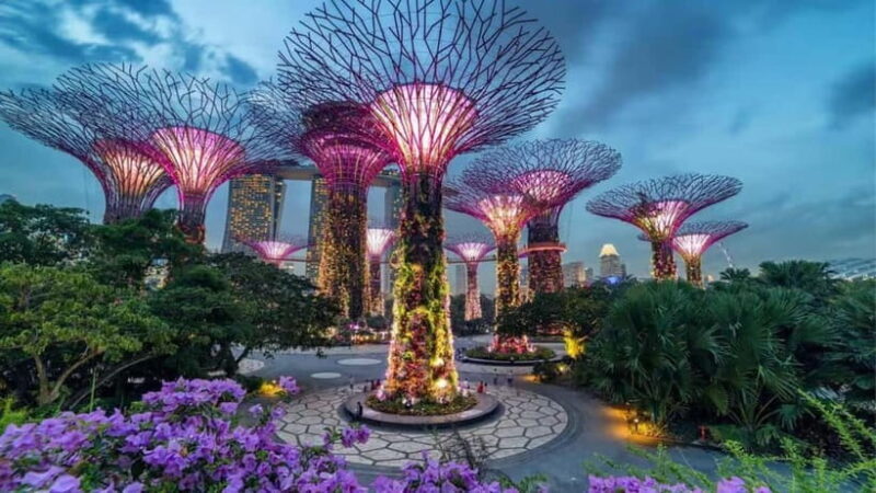 Spectra & Garden Rhapsody Shows with Singapore River Cruise - Potential Drawbacks or Considerations