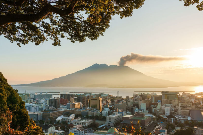 Spectrum of the Seas, Caribbean: Cruise shore excursion day trip/Kagoshima Port/Sakurajima/Aquarium/Sengan-en/Tenmonkan Street/Seamless port transfer for shore excursions/Chinese-speaking tour guide - Key points to know before you go