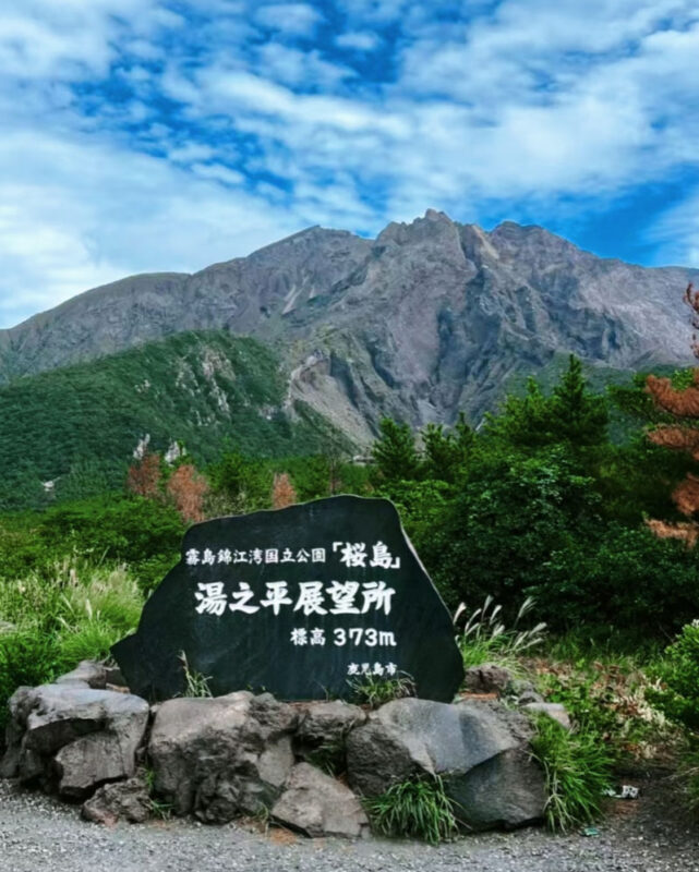 Spectrum of the Seas, Caribbean: Cruise shore excursion day trip/Kagoshima Port/Sakurajima/Aquarium/Sengan-en/Tenmonkan Street/Seamless port transfer for shore excursions/Chinese-speaking tour guide - A port pickup that takes the guesswork out