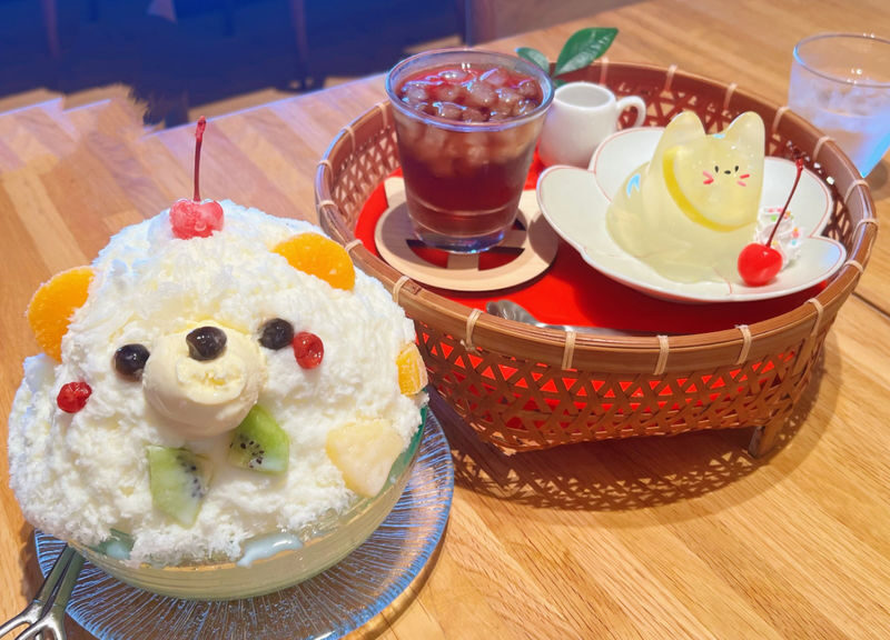 Spectrum of the Seas, Caribbean: Cruise shore excursion day trip/Kagoshima Port/Sakurajima/Aquarium/Sengan-en/Tenmonkan Street/Seamless port transfer for shore excursions/Chinese-speaking tour guide - What the price covers, and what it does not