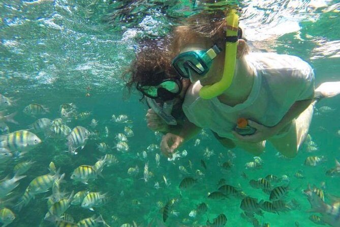 Speed Boat and Snorkeling in Punta Cana Bavaro - A Detailed Look at the Speed Boat and Snorkeling Tour