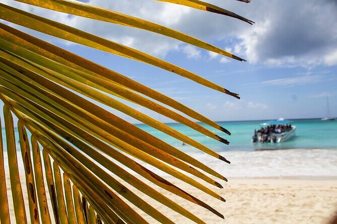 Speed Boat Ride to Punta Cana - Key Points