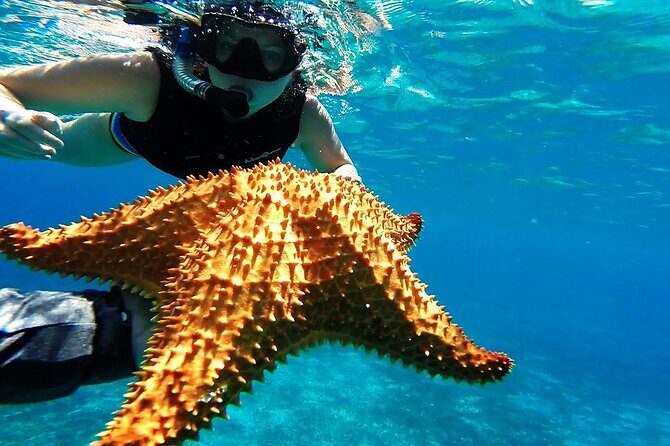 Speed Boat with Snorkeling Adventure of Cancun - A Thrilling 2-Hour Adventure: Speed Boat with Snorkeling in Cancun