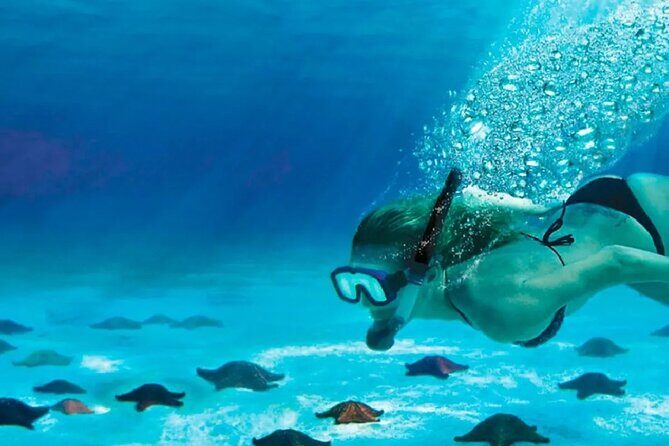 Speed Boat with Snorkeling Adventure of Cancun - FAQ