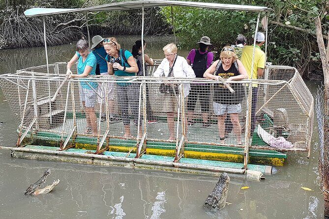 Speedboat Adventure: Can Gio Mangrove, Monkey Island & Crocodiles - Who Will Love This Tour?