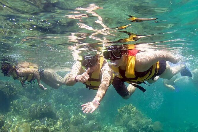 Speedboat and Snorkel Tour from Cancun with Transportation - Key Points