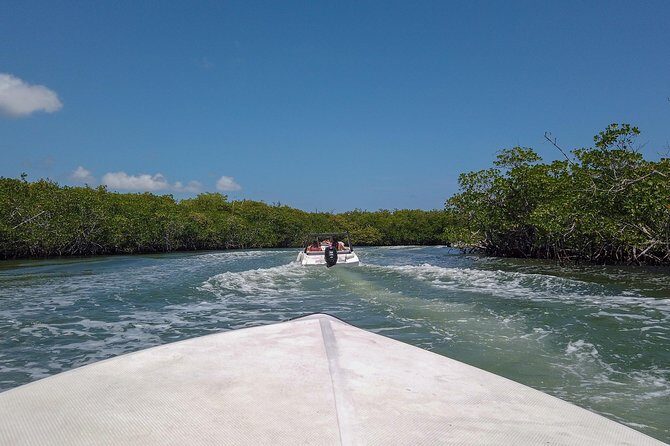 Speedboat and snorkel tour: Single Passenger Boat - The Sum Up: Is This Tour Worth It?